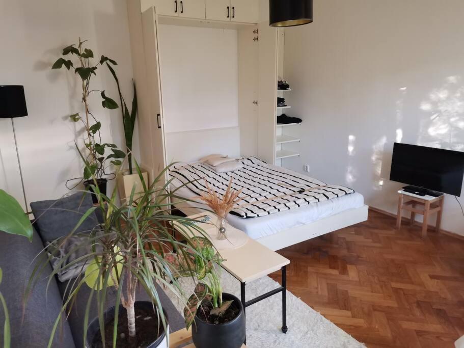 Cozy Studio In The City Centre Near Train Station บราติสลาวา ภายนอก รูปภาพ